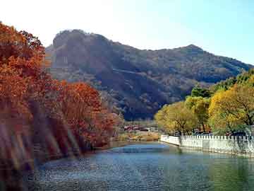 新澳天天开奖资料大全旅游团，贞子图片